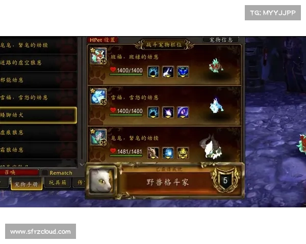 魔兽世界战斗宠物治疗攻略 魔兽世界战斗宠物治疗攻略